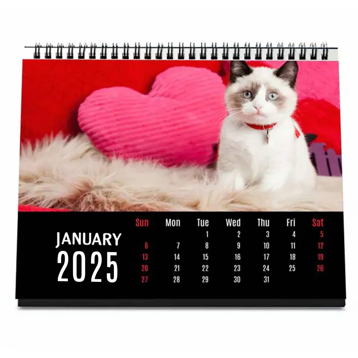 Personalised Cat Lover Calendar