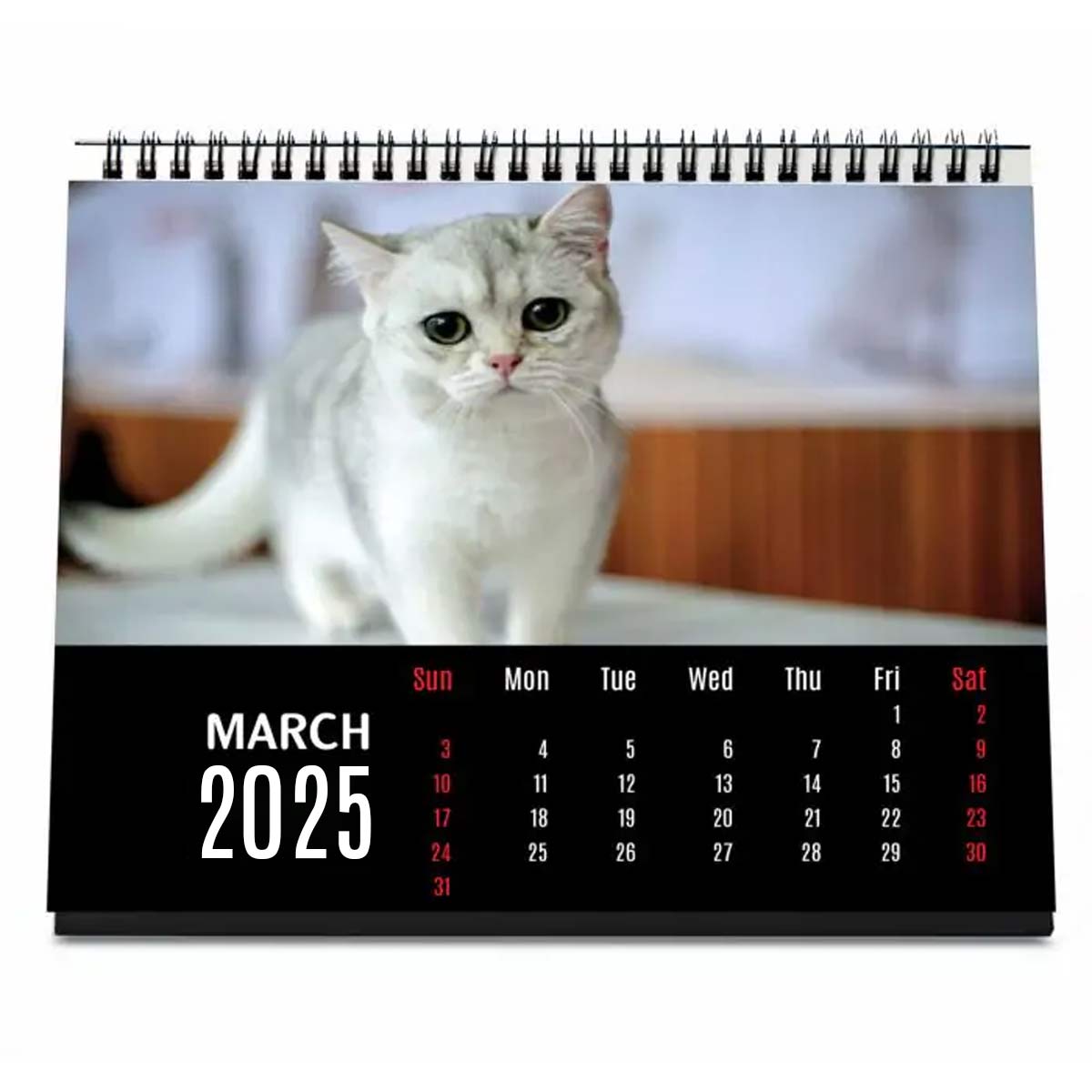 Personalised Cat Lover Calendar