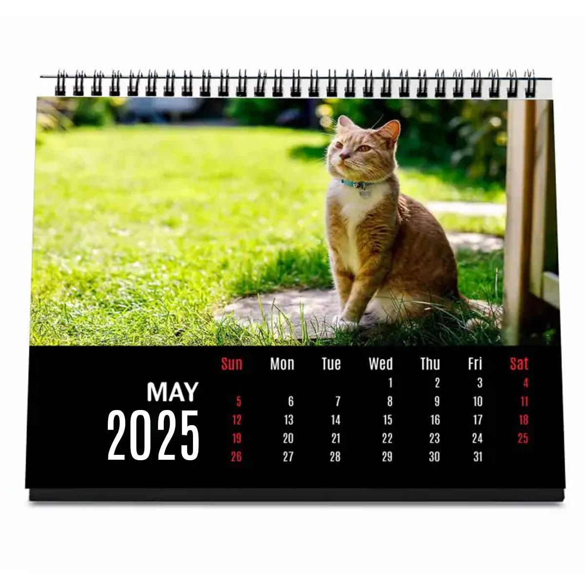 Personalised Cat Lover Calendar