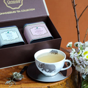 Connoisseurs Tea Collection - Darjeeling Premium - Two Teas