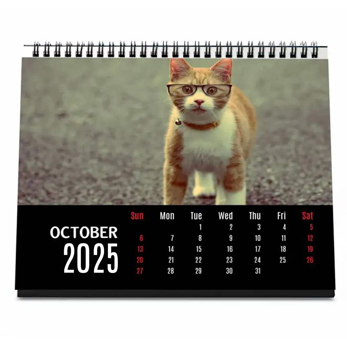 Personalised Cat Lover Calendar