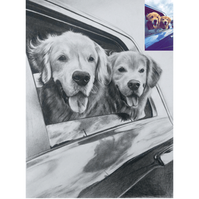 Pet Charcoal Drawing From Photo