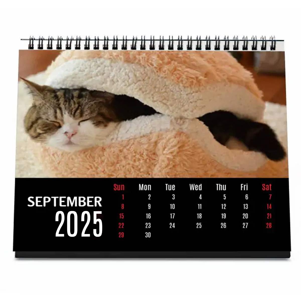 Personalised Cat Lover Calendar