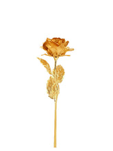 Beautiful Golden Rose In 24K Gold Foil