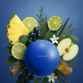 Nomad Best Perfume for Men