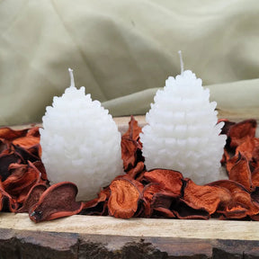 Set Of 2 Pine Cone Candles