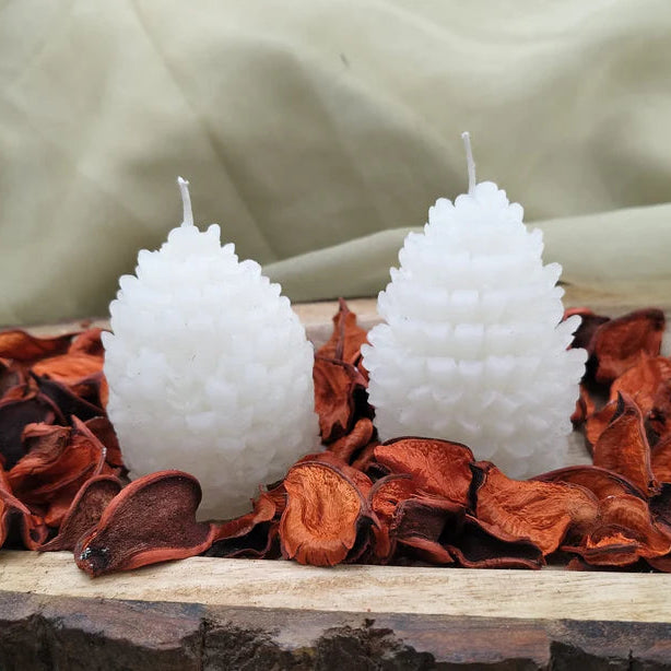 Set Of 2 Pine Cone Candles