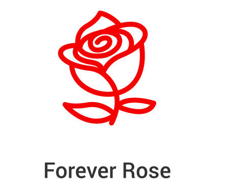 Forever rose icon