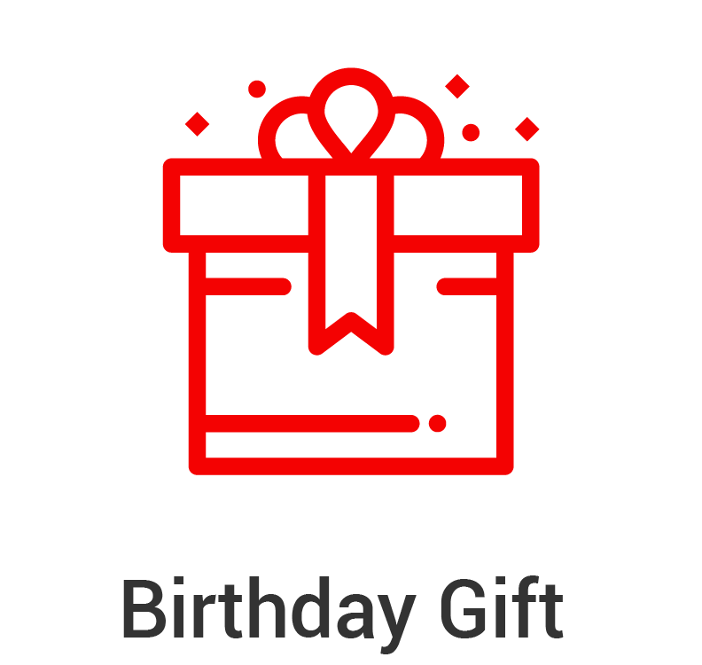 Birthday gifts Icon
