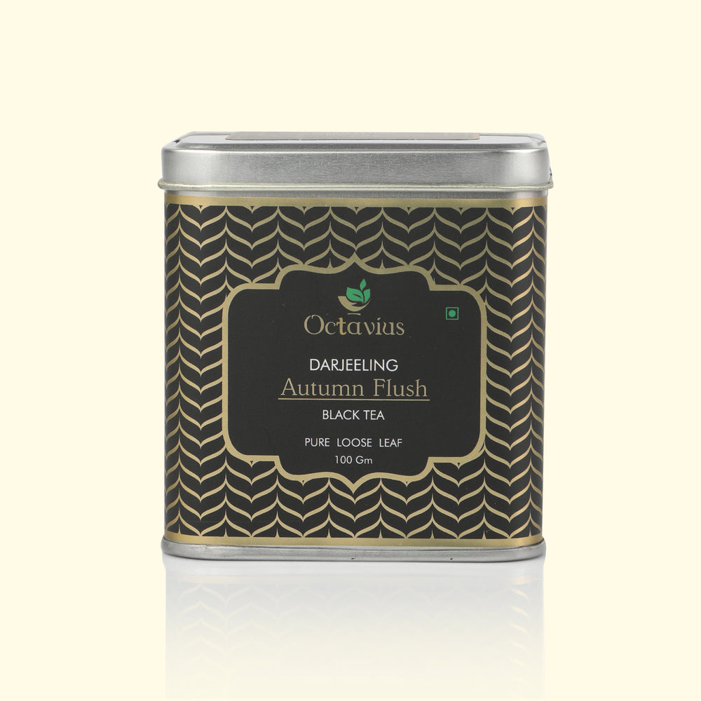 Octavius Darjeeling Autumn Flush Loose Leaf Tea in Premium Tin Box