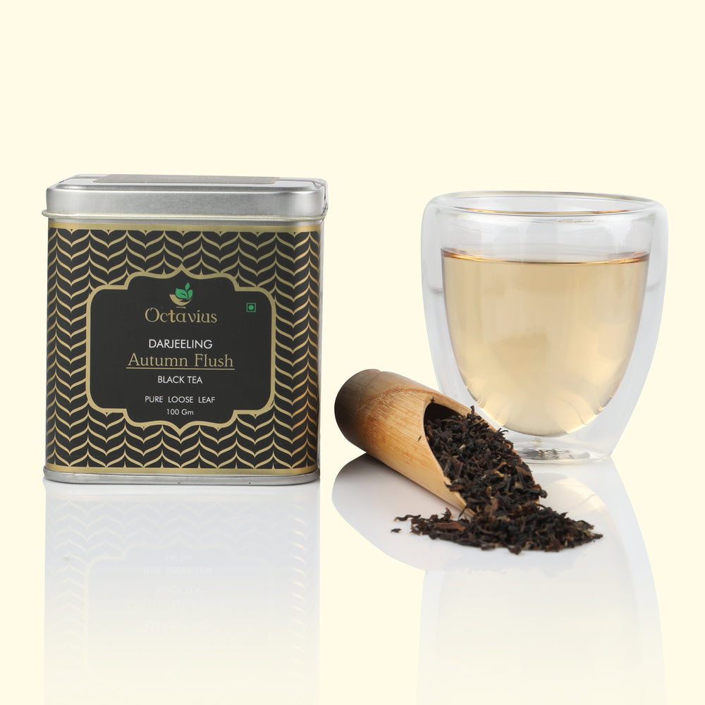 Octavius Darjeeling Autumn Flush Loose Leaf Tea in Premium Tin Box