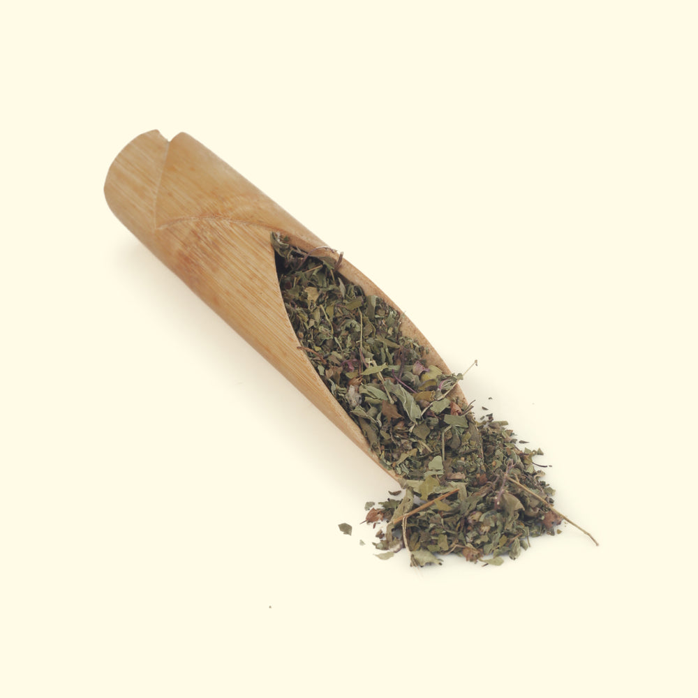 Octavius Moringa, Tulsi & Mint Green Tea