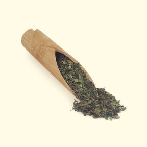 Octavius Mint Green Tea Whole Leaf - 20 Pyramid Tea Bags-4