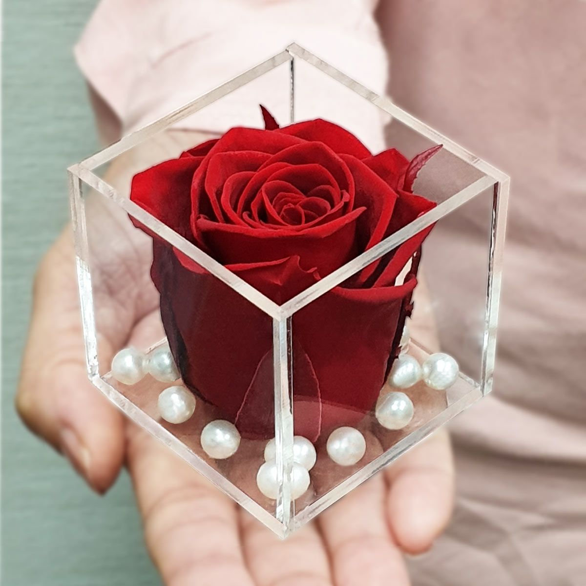 Real Preserved Forever Rose Red Online | Long Lasting Flower - Giftcart-1