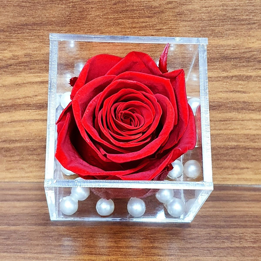 Long Lasting Preserved Forever Rose Red - Real Flower