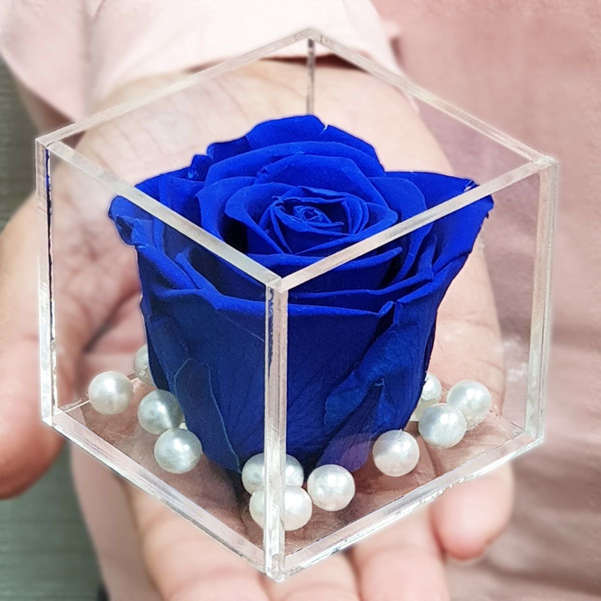 Real Preserved Forever Rose Blue Online | Long Lasting Flower - Giftcart-1