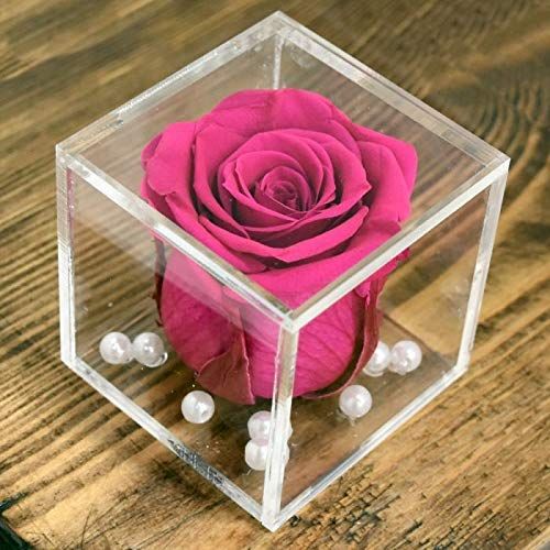 Real Preserved Forever Rose Pink Online | Long Lasting Flower - Giftcart-1