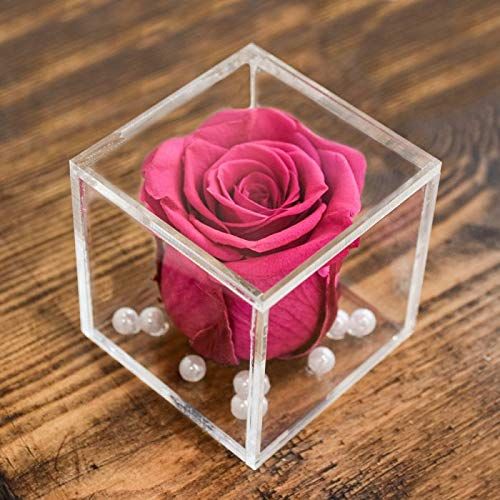 Real Preserved Forever Rose Pink Online | Long Lasting Flower - Giftcart