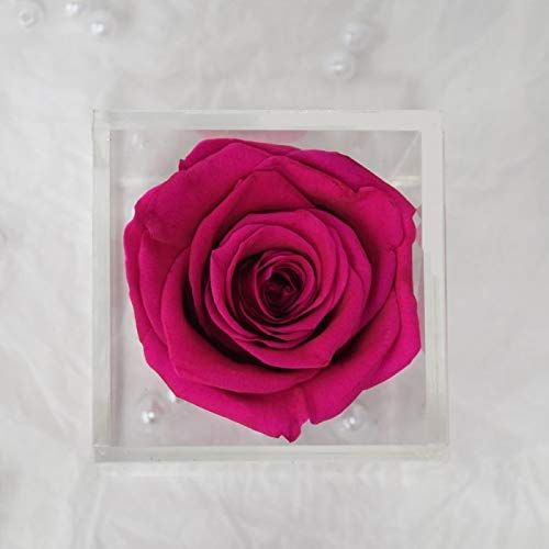 Real Preserved Forever Rose Pink Online | Long Lasting Flower - Giftcart-2