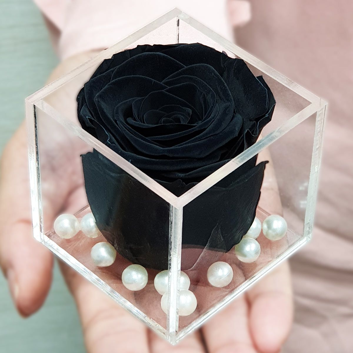 Real Preserved Forever Rose Black Online | Long Lasting Flower - Giftcart