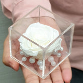 Real Preserved Forever Rose White Online | Long Lasting Flower - Giftcart