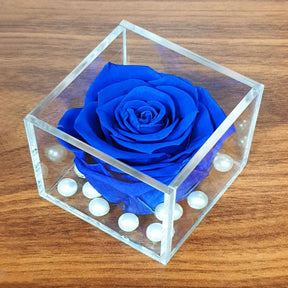 Real Preserved Forever Rose Blue Online | Long Lasting Flower - Giftcart