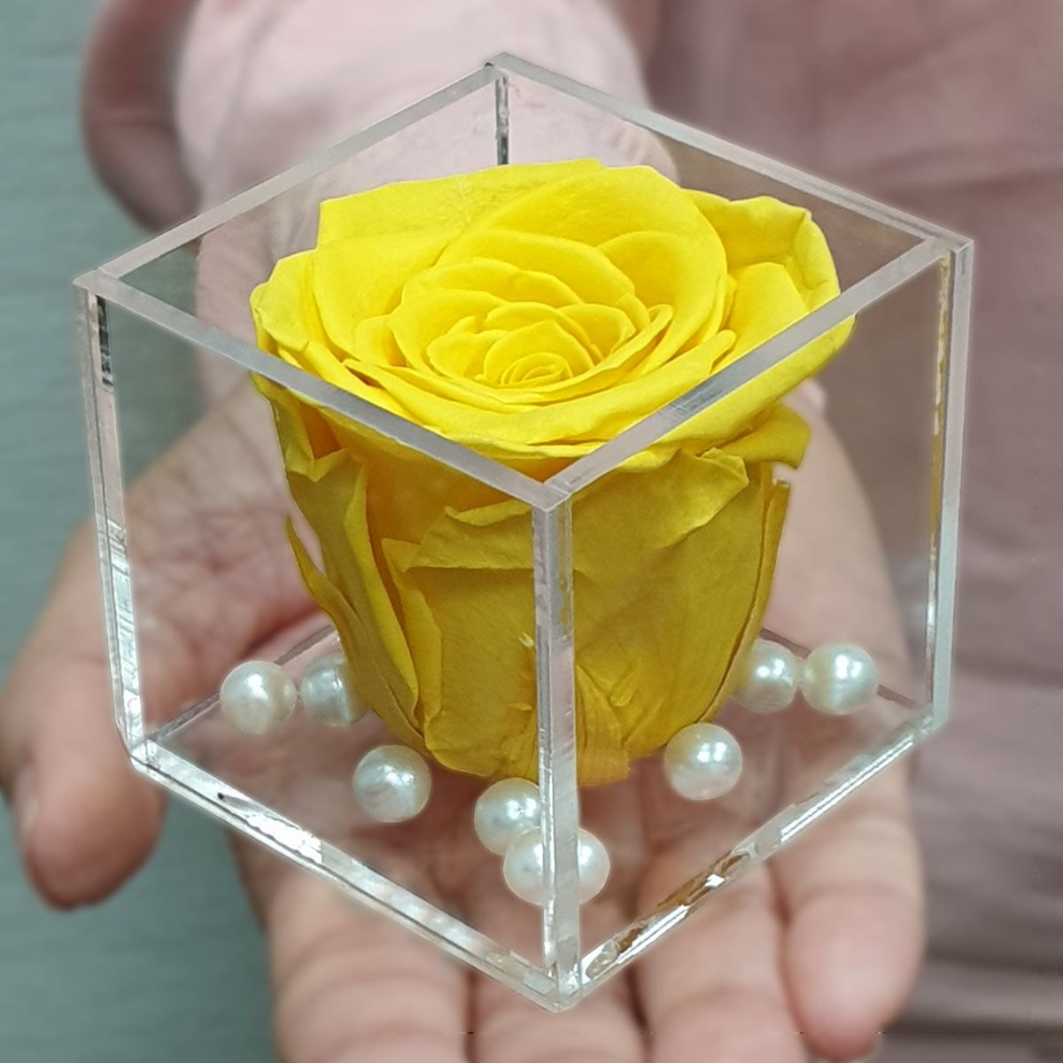 Real Preserved Forever Rose Yellow Online | Long Lasting Flower - Giftcart