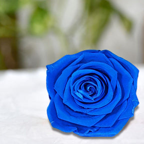 Real Preserved Forever Rose Blue Online | Long Lasting Flower - Giftcart
