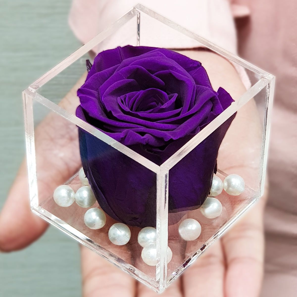 Real Preserved Forever Rose Purpose Online | Long Lasting Flower - Giftcart-1