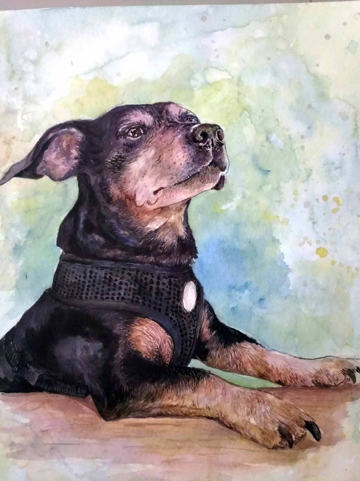 Pet Watercolor Painting From Photo-2