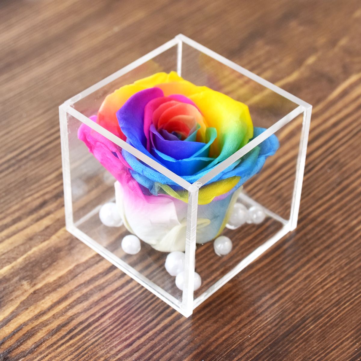 Real Preserved Forever Rose Rainbow Online | Long Lasting Flower - Giftcart
