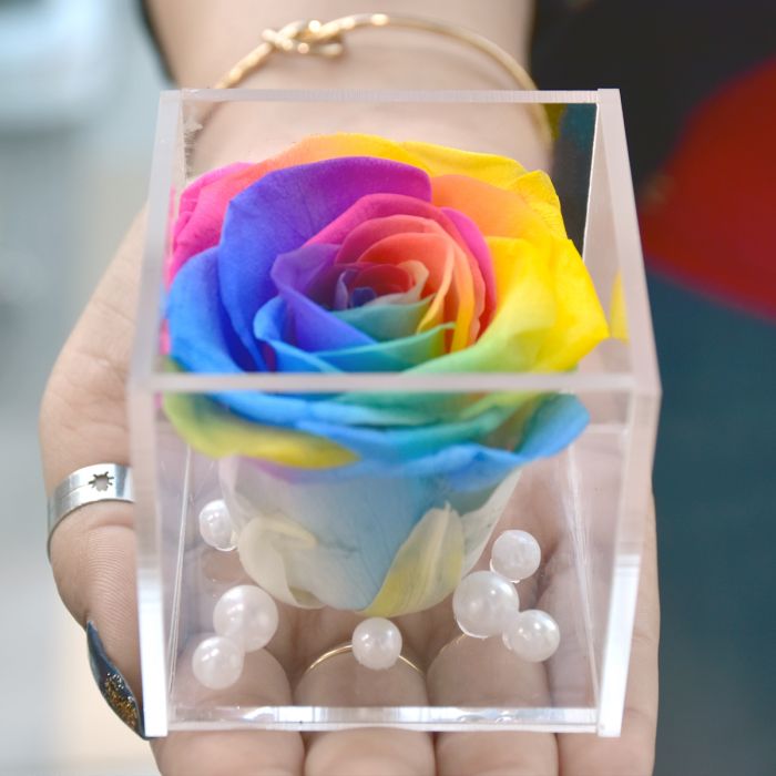 Real Preserved Forever Rose Rainbow Online | Long Lasting Flower - Giftcart