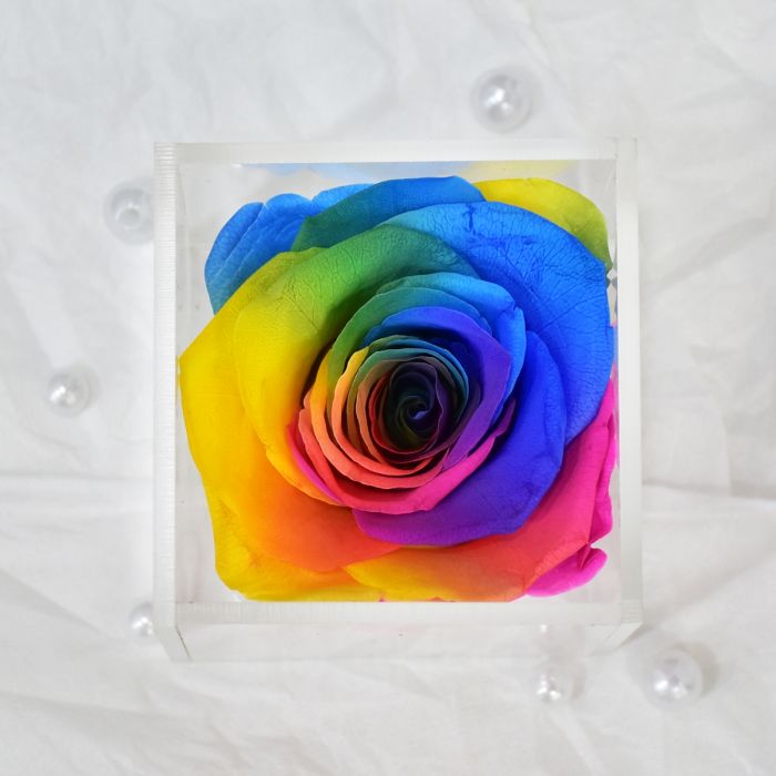 Real Preserved Forever Rose Rainbow Online | Long Lasting Flower - Giftcart-2