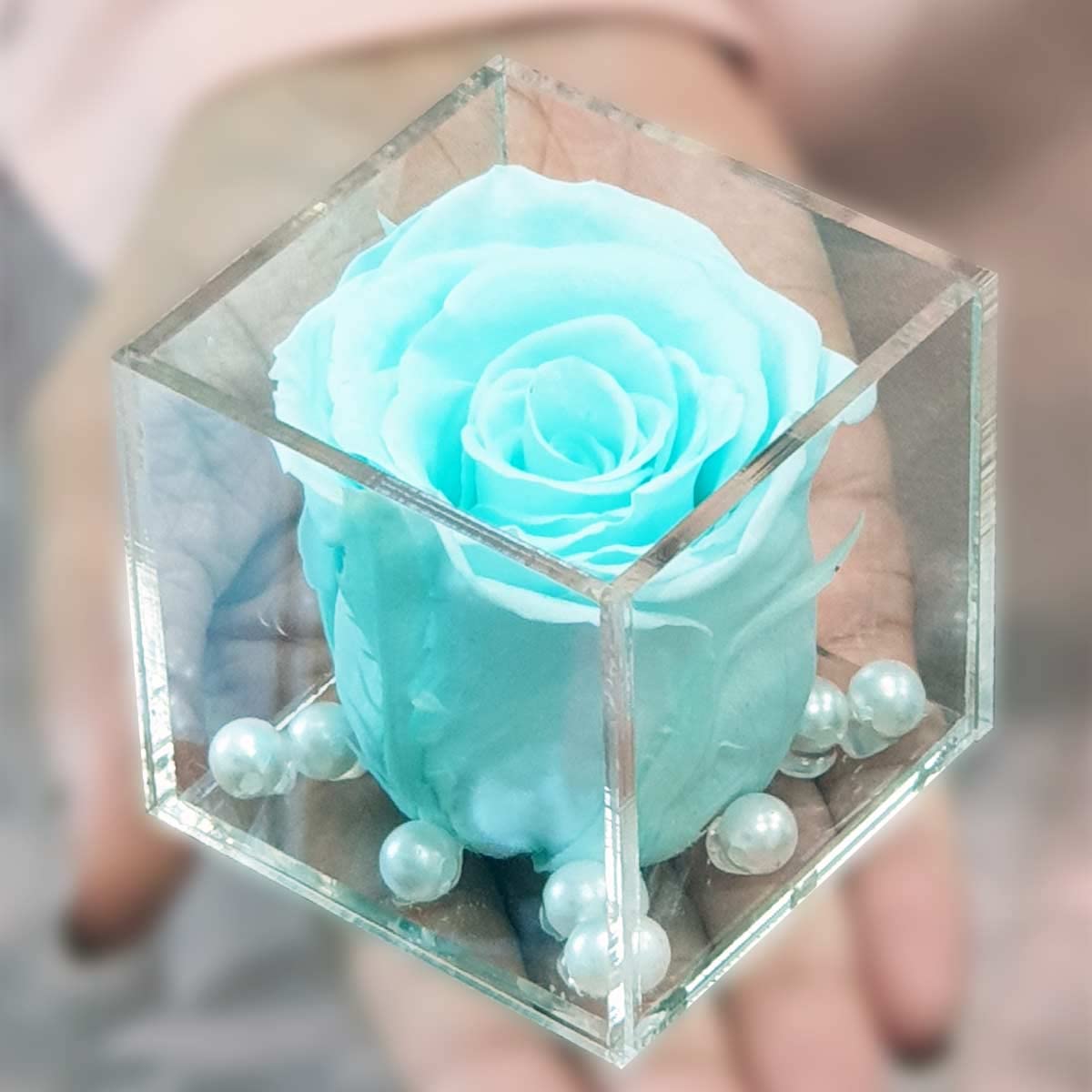 Real Preserved Forever Rose Cyan Online | Long Lasting Flower - Giftcart-1