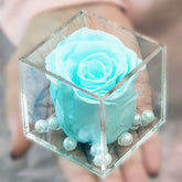 Real Preserved Forever Rose Cyan Online | Long Lasting Flower - Giftcart