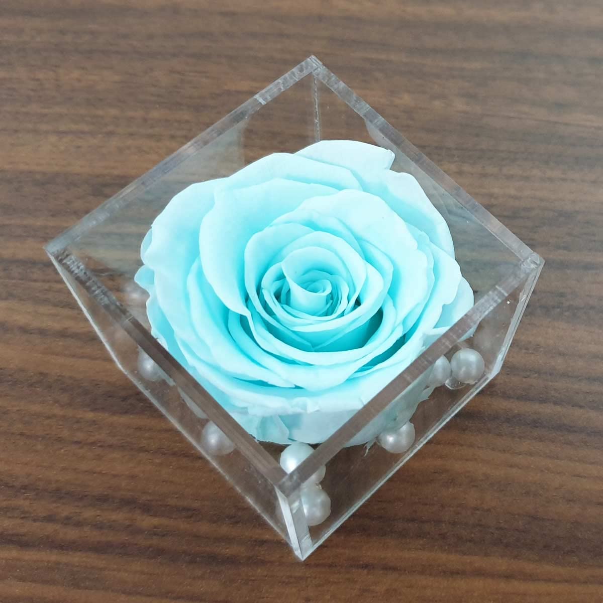 Real Preserved Forever Rose Cyan Online | Long Lasting Flower - Giftcart