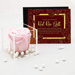 Real Preserved Forever Rose Light Pink Online | Long Lasting Flower - Giftcart