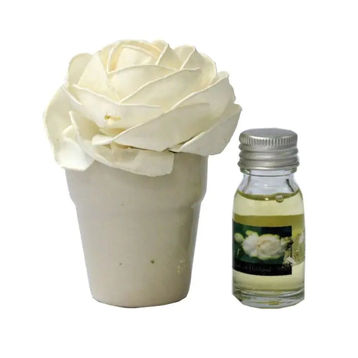 White Rose & Scented Oil Diffuser Set