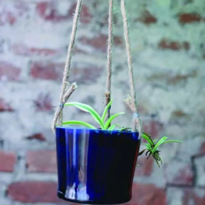 Blue Bucket Planter