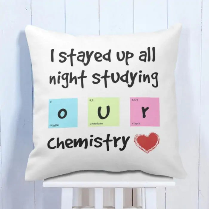 Studying Our Chemistry  Cushion