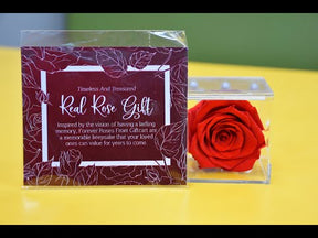 Real Preserved Forever Rose White Online | Long Lasting Flower - Giftcart