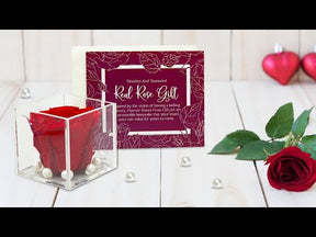 Real Preserved Forever Rose Red Online | Long Lasting Flower - Giftcart